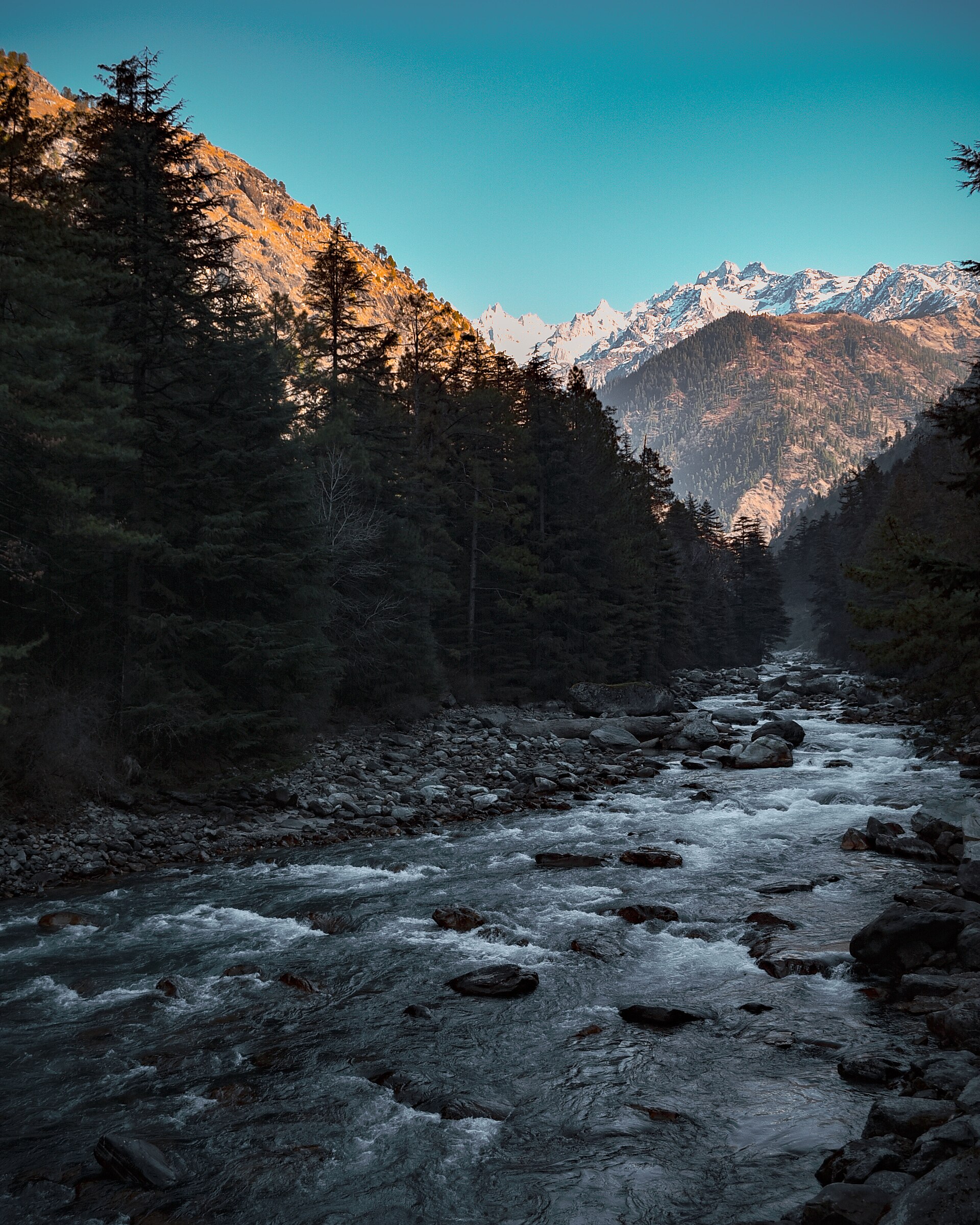 Kasol
